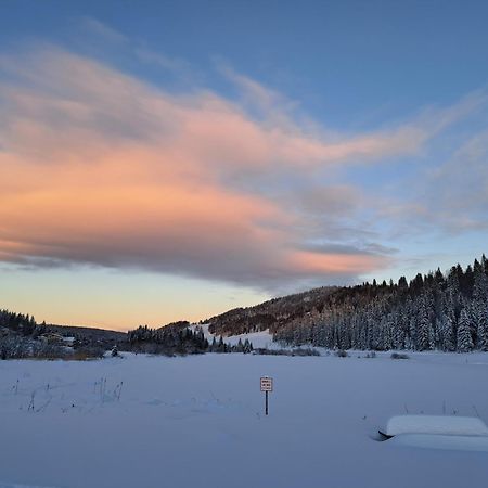 Au Coeur Du Lapidaire Septmoncel-Les-Molunes 외부 사진