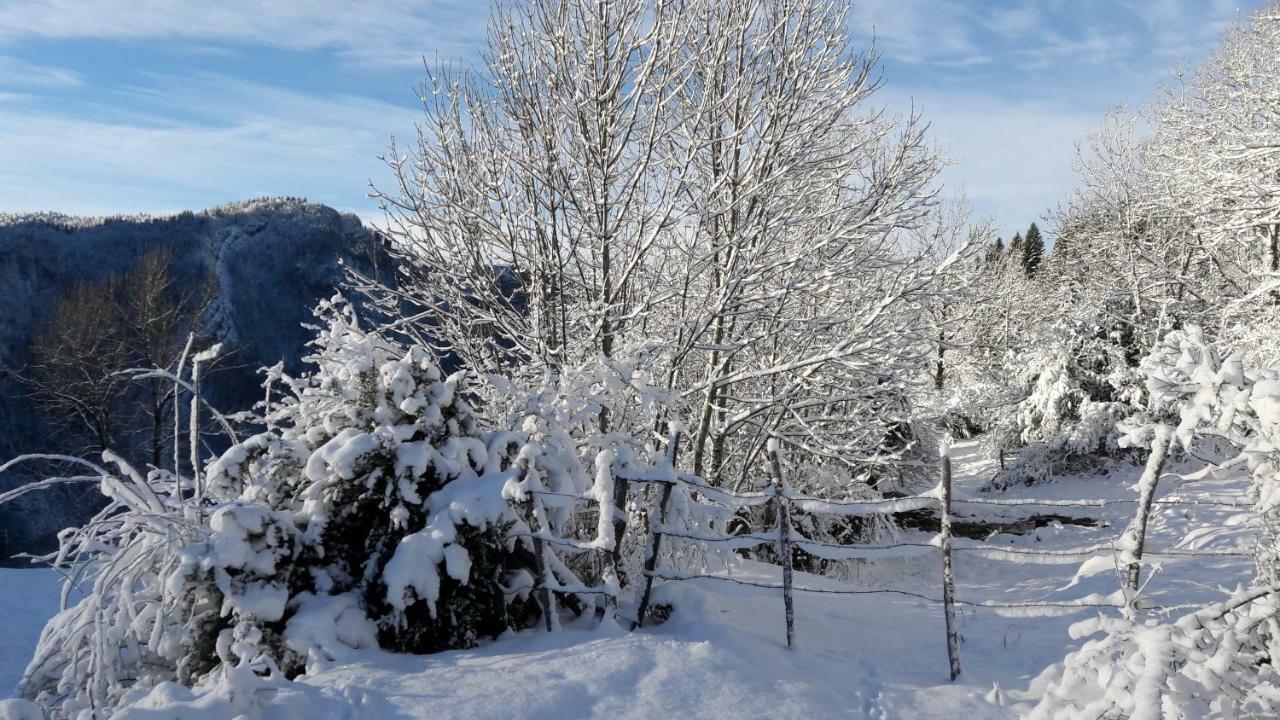 Au Coeur Du Lapidaire Septmoncel-Les-Molunes 외부 사진