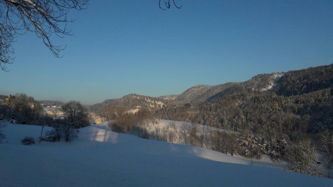 Au Coeur Du Lapidaire Septmoncel-Les-Molunes 외부 사진