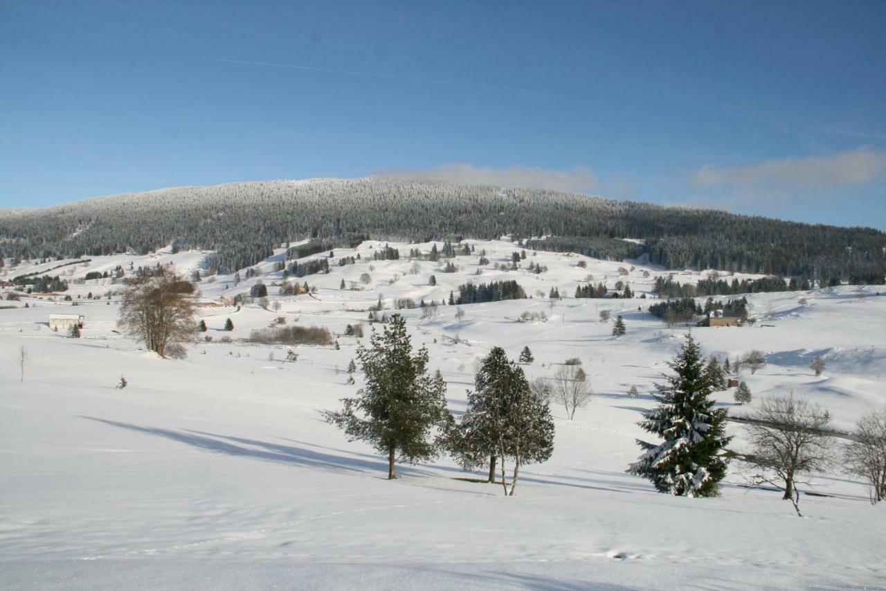 Au Coeur Du Lapidaire Septmoncel-Les-Molunes 외부 사진