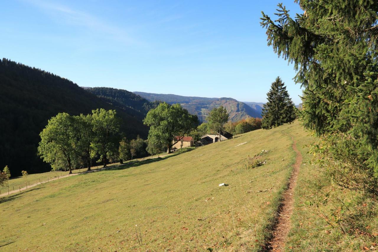 Au Coeur Du Lapidaire Septmoncel-Les-Molunes 외부 사진