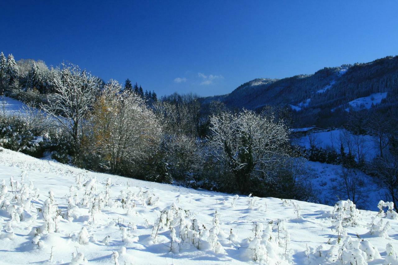 Au Coeur Du Lapidaire Septmoncel-Les-Molunes 외부 사진